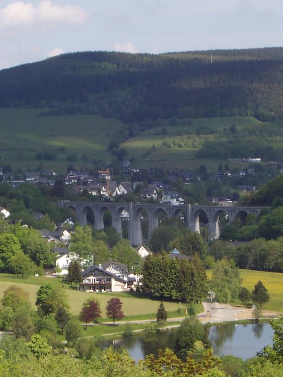 Wietheger'S Ferienwohnungen Gaestehaus Strycktal II วิลลิงเงิน ภายนอก รูปภาพ